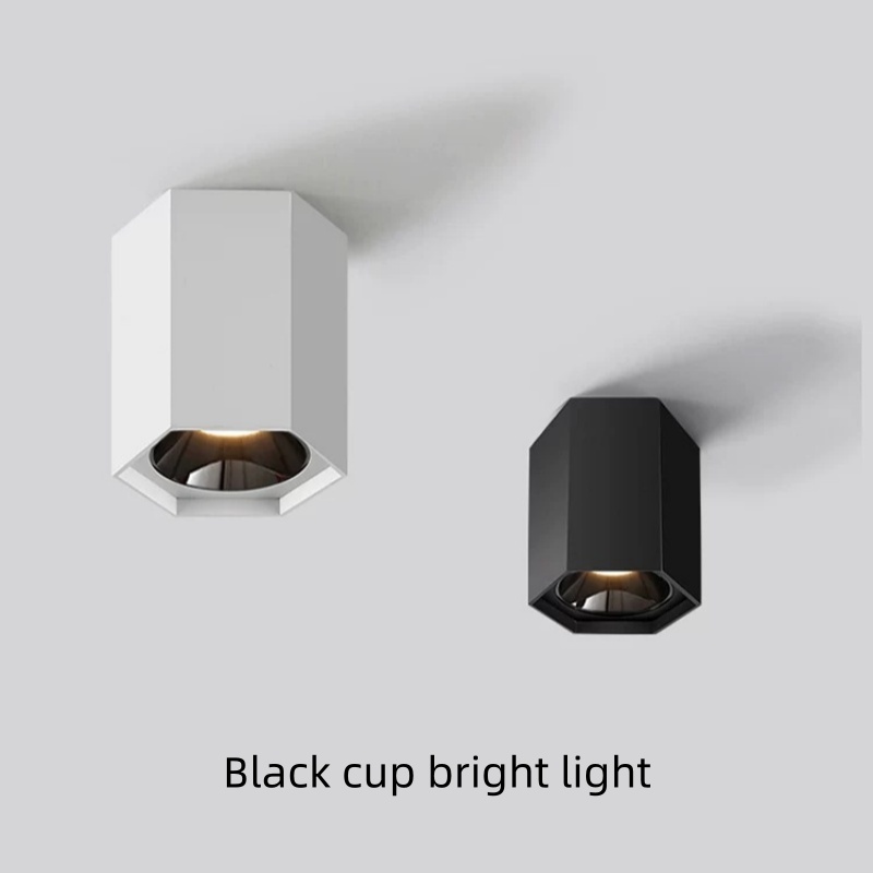 Hole-free LED Spotlight Living - Outdoor Lighting For Store ulasan dan harga