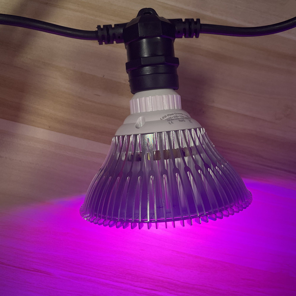 10M Cable LED String Commercia - Bollard Light Garden ulasan dan harga